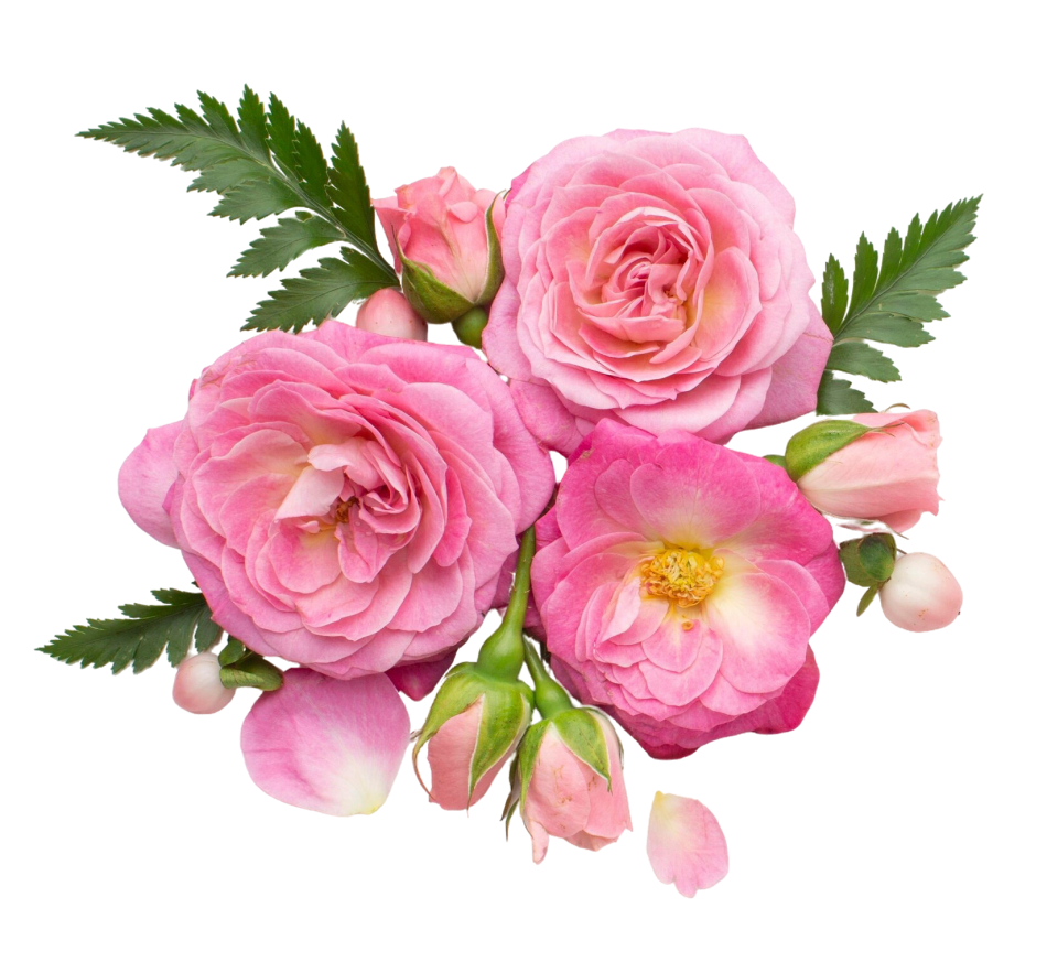 Traiteur Granville Reception Traiteur A Granville Un Traiteur Pour Le Jour J